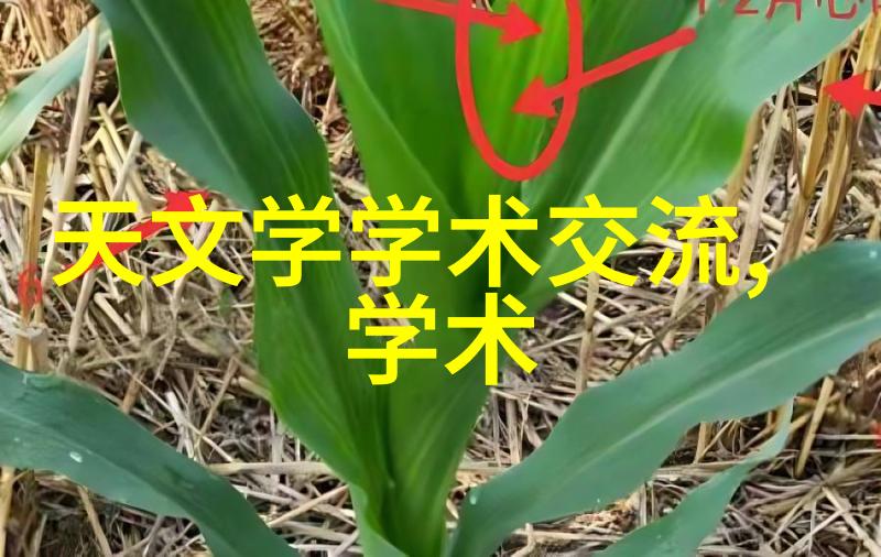 现代医疗的新助手膏药机械化应用探究
