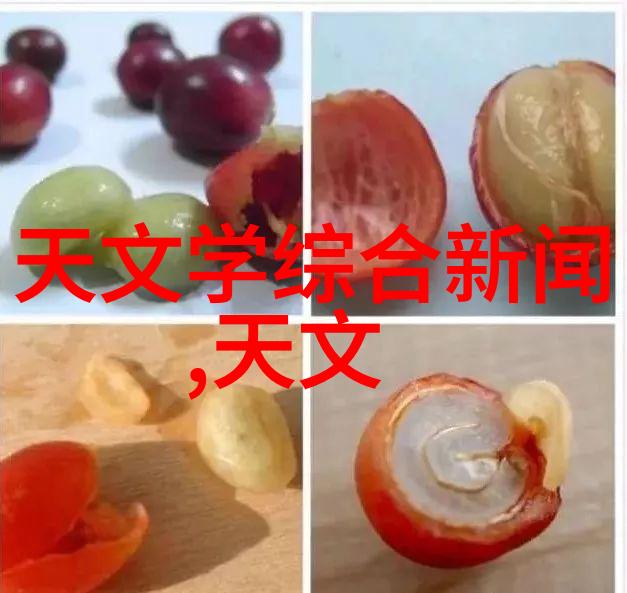 男人与大鸟跨越世纪的友谊与挑战