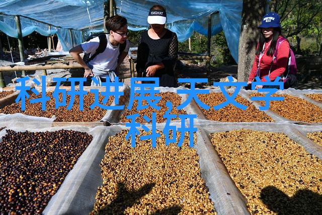 社会生活中的花园洋房装饰如何选择入画设计成本究竟是多少