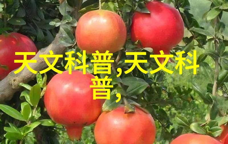 化工卫生泵确保生产安全与环境可持续的关键设备