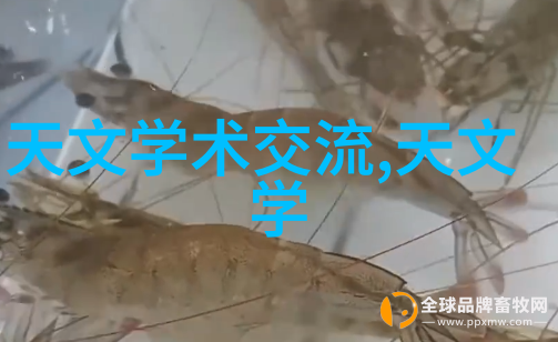 您的机器人管家请签收小说机甲宅男的书籍奇遇