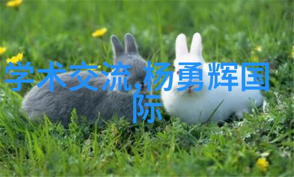 智能硬件未来科技的华丽乐章