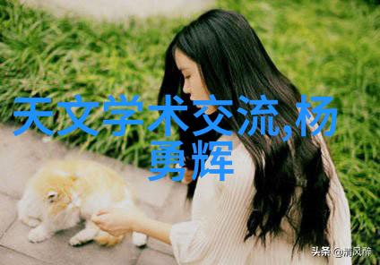 会议室效果图设计揭秘如何打造高效的商务交流空间
