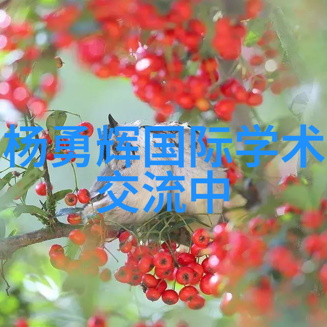 微型奇迹揭秘集成电路芯片的神奇功能
