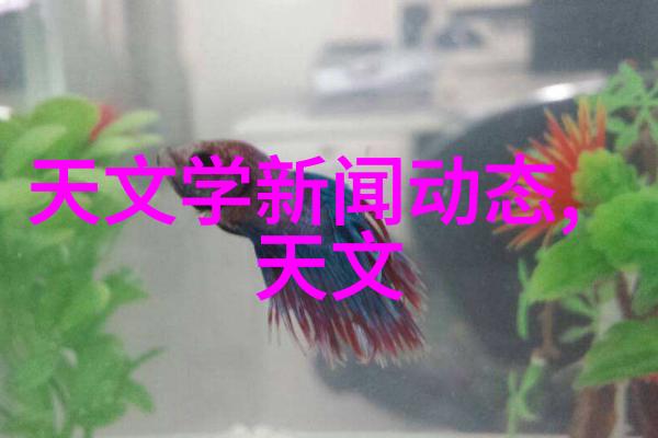 医用反渗透水处理设备-高效除菌的医疗级RO系统