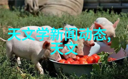 控制虫害防治方法保护黄瓜健康成长