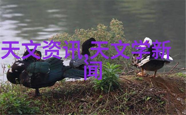 膏药机械的精妙应用膏药机械在医学领域的神奇应用