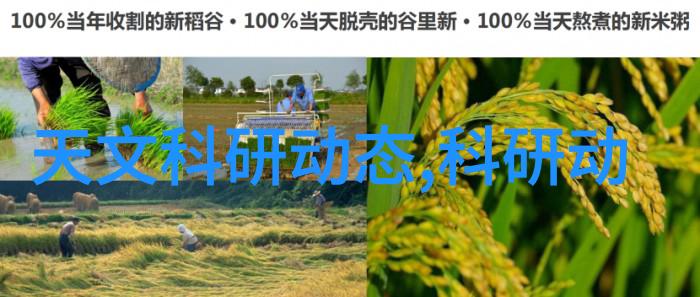 市场包括什么呵呵我就告诉你