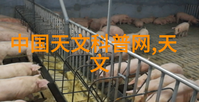 安全第一效率并进智能交通信号灯技术解析