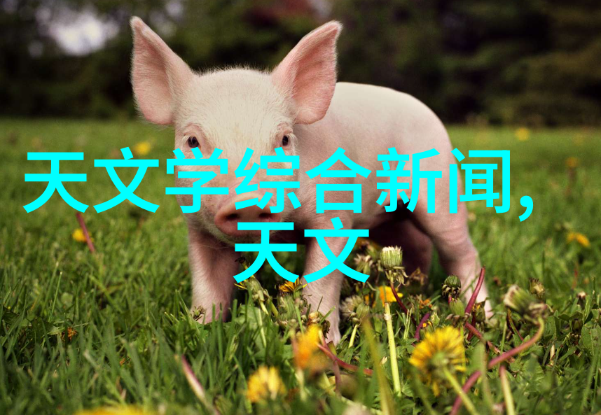 上海的分离机守护城市清洁与可持续发展