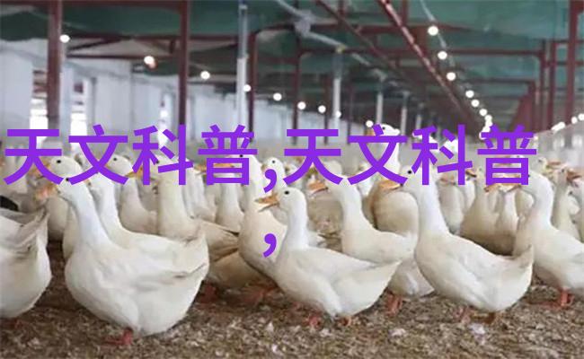 重视生态安全工业废气管理在可持续发展中的作用