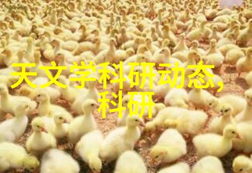 专利大冒险如何将你的新奇点通往智慧财产局