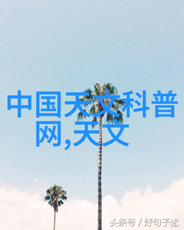 布袋除尘-细节之心揭秘高效能的无机捕集者
