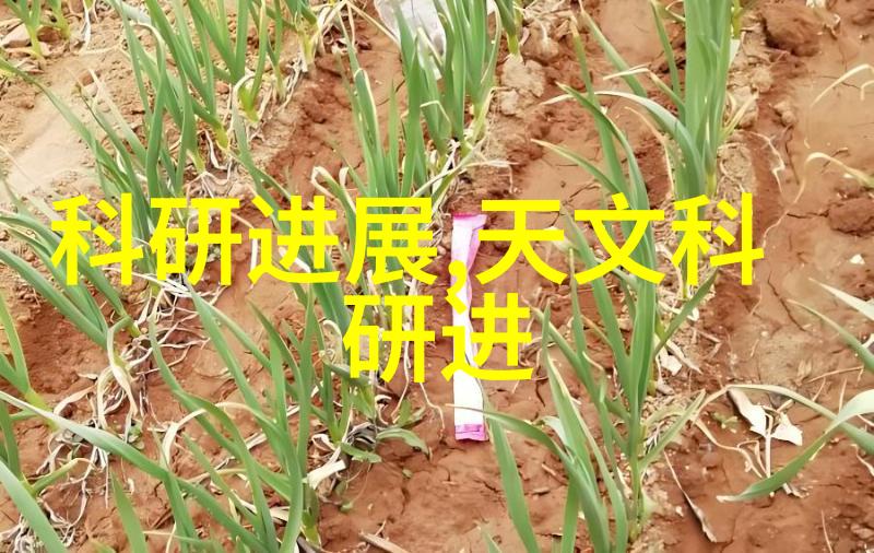 国产芯片制造业迎来新机遇高端产品逐步崭露头角