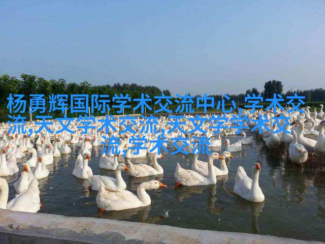 图2: 不同尺寸Pipe