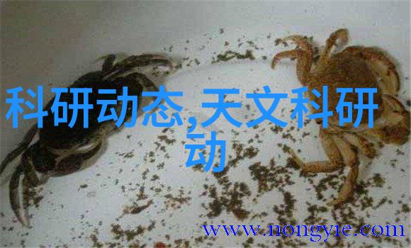 江西财经大学金钱的熔炉与知识的花园