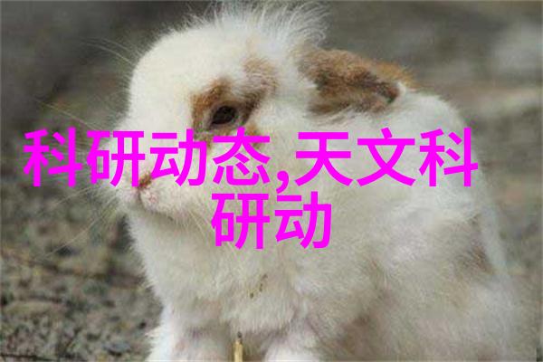文艺界的新贵技压群芳的奇迹
