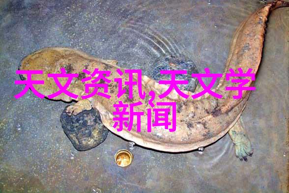 探索可穿戴设备对运动训练带来的变化