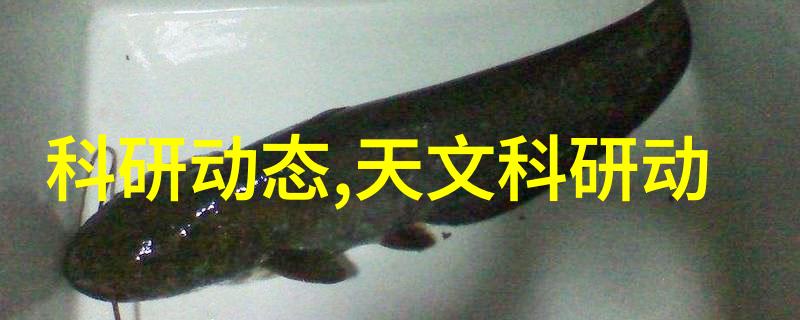 直驱魔力揭秘无刷直流电机的精确控制艺术