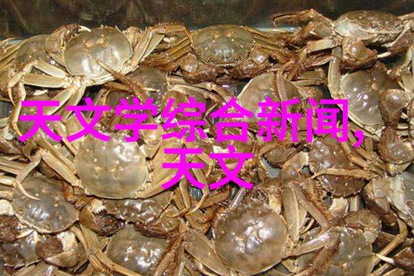 机器视觉网-深度学习与图像识别机器视觉网的新纪元