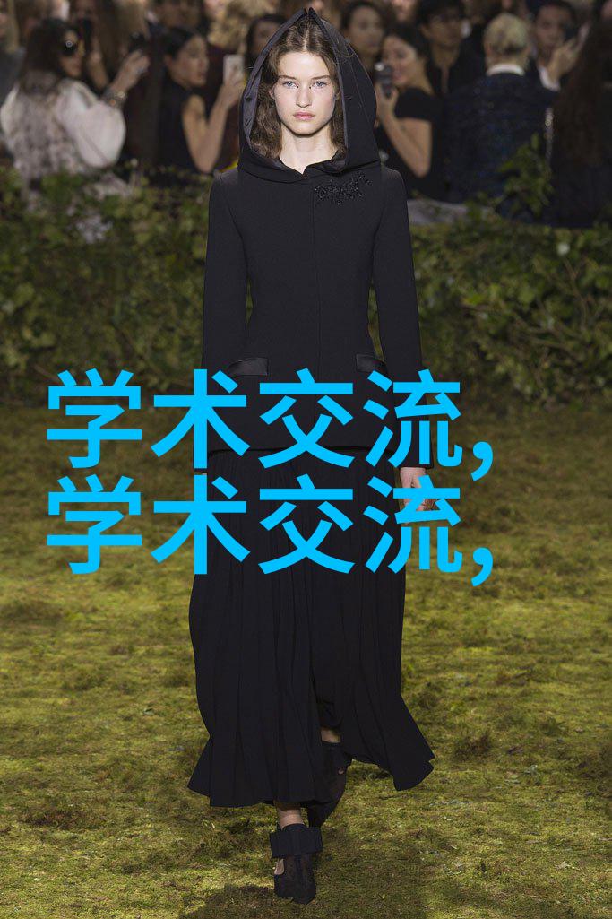 鲍尔环填料规整之谜探究