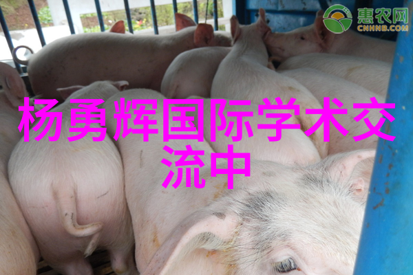 板式蒸发器的应用与优化策略