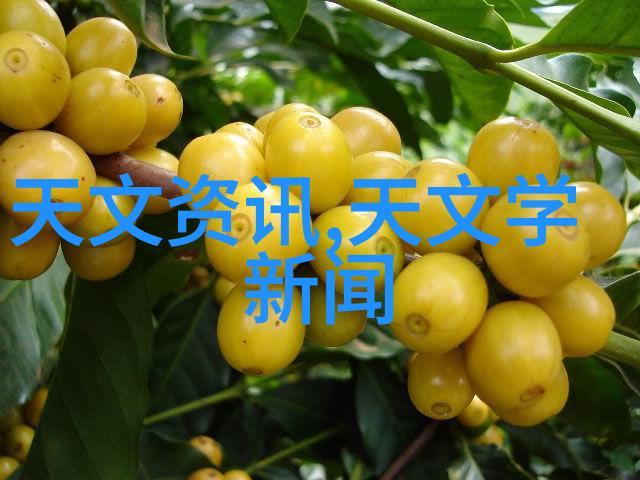 专利查询无障碍中国免费开放系统大门