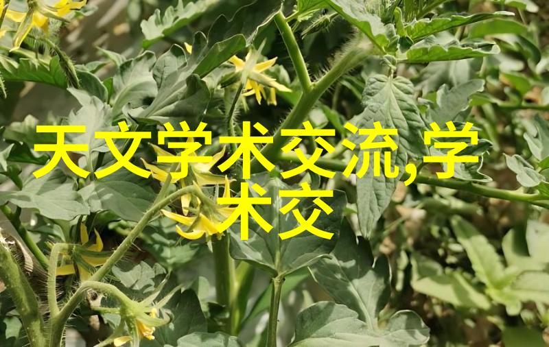 現代膠囊剂機械如何提高藥物質量和生產效率