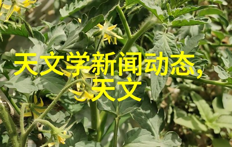 09我的青春岁月
