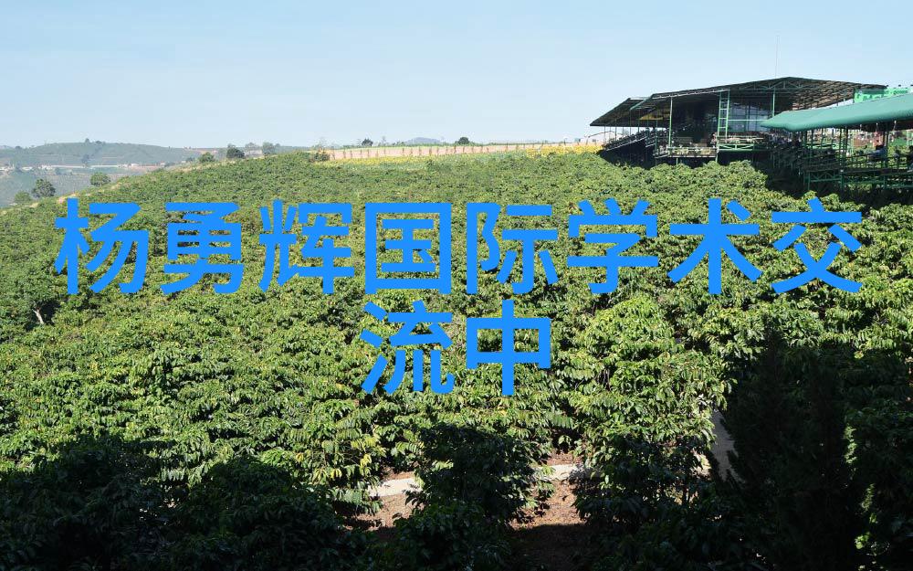 金属填料的选择与应用性能与限制