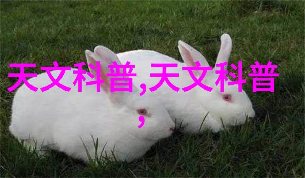 水切割机的制造商精确工艺与创新技术的结合