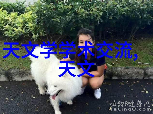 深度解析深圳装修设计新趋势与实用技巧