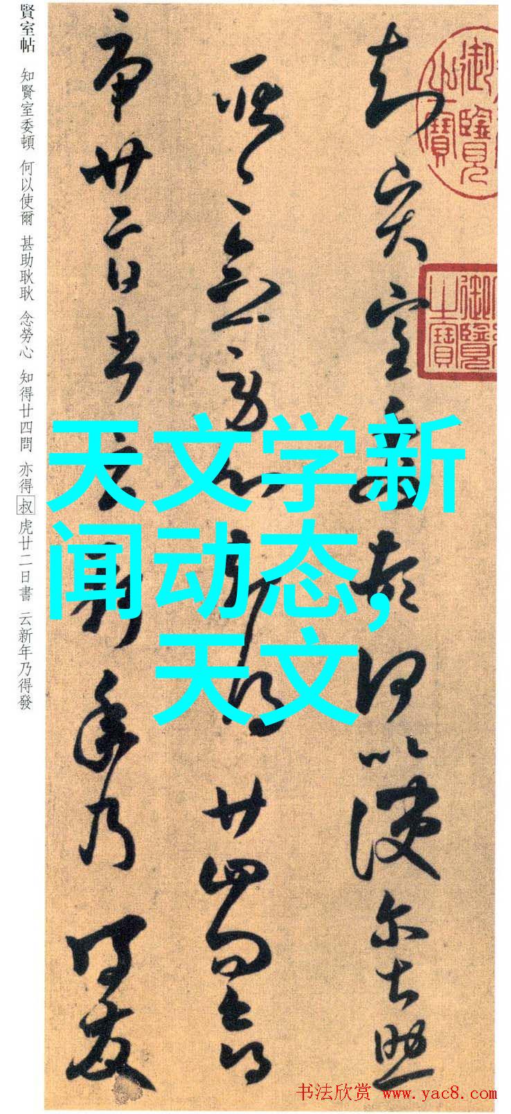 坚韧的劳动之手