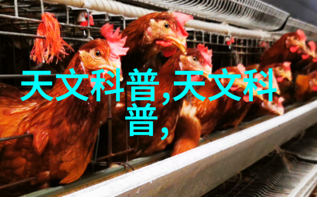 项目管理可行性报告撰写指南详细的项目可行性报告编写技巧