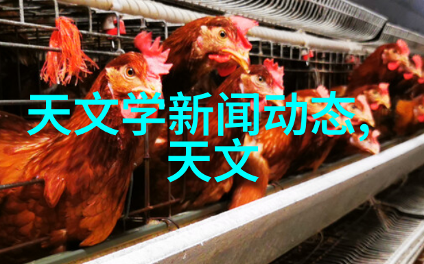 星型卸料器夜幕下的星辰之舞