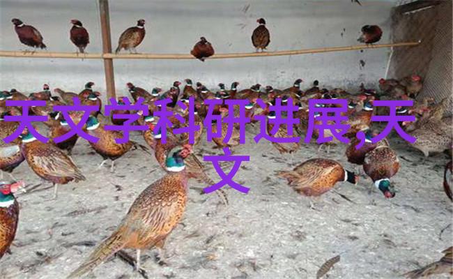 上海办公室装修设计的秘密故事