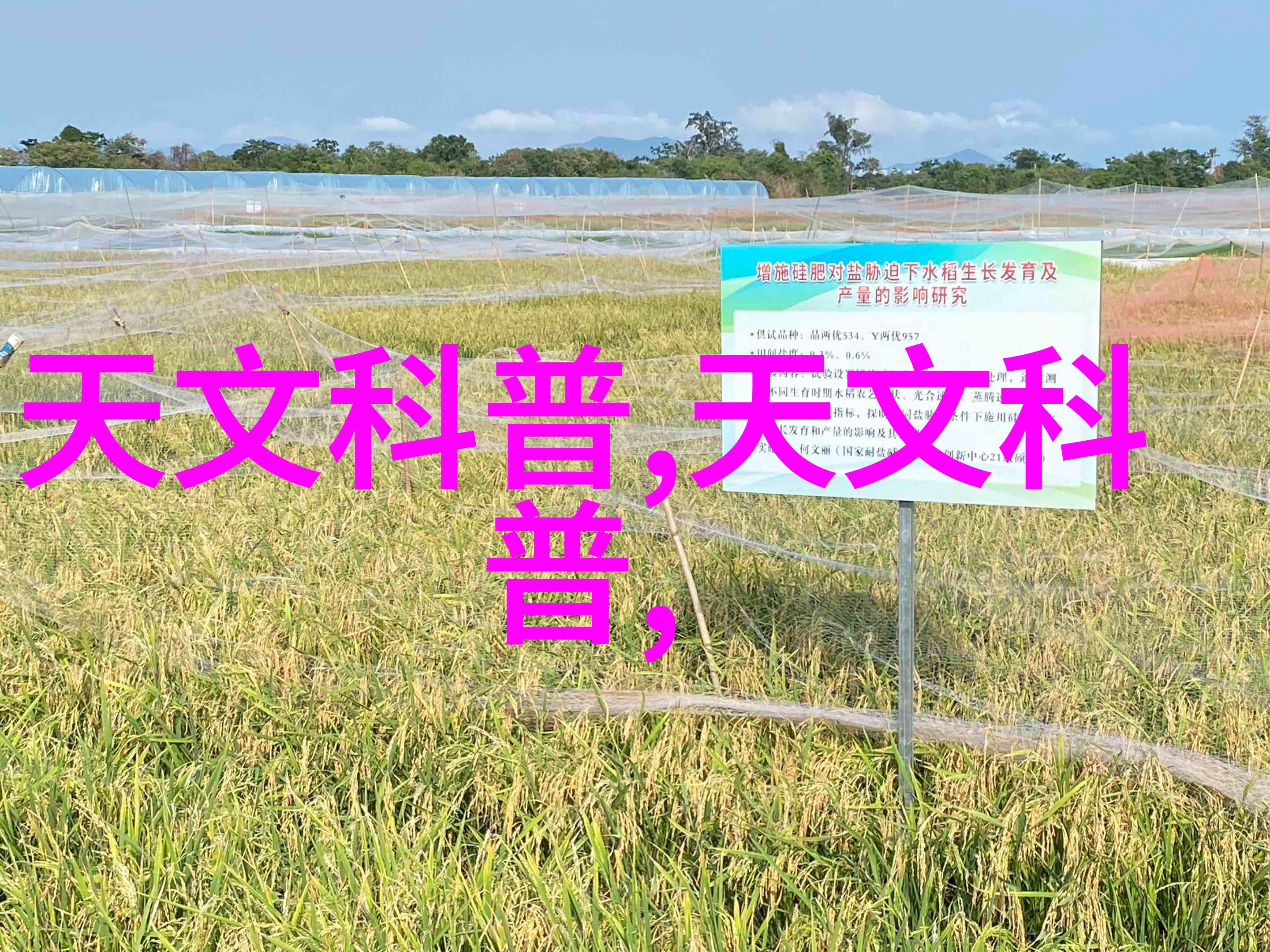 梦想居所温馨奢华的主卧空间艺术