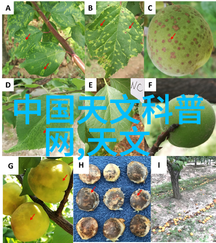 人才评估测试答案-精准定位未来领军人才解析高效的评价体系构建