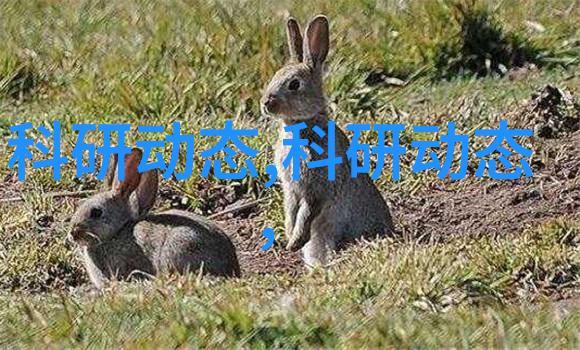 粘钢加固技术革新施工方式增强结构韧性