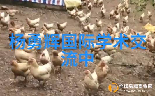 冰箱里的热情二手制冷设备的逆袭故事
