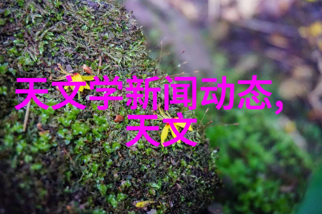 液压圆锥破碎机-高效环保的矿物资源处理器
