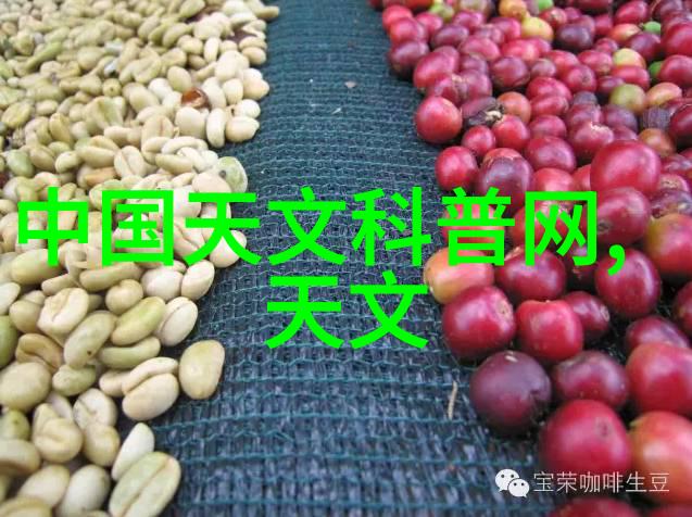 高压蒸汽灭菌锅灭菌参数之谜探索安全与效率的极限