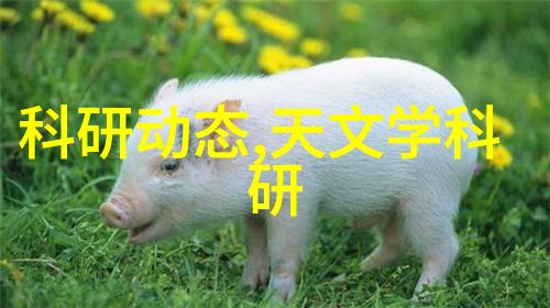 卧式压力蒸汽灭菌器操作手册与应用指南