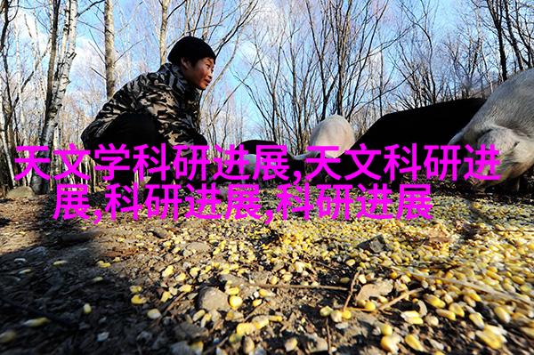 运动休闲风格