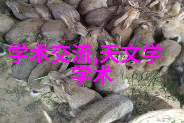 铁血之脉探索钢管材生产厂家的技术与创新