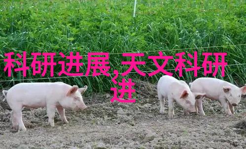风力发电系统高效能工控电机设备-2A0420FR01