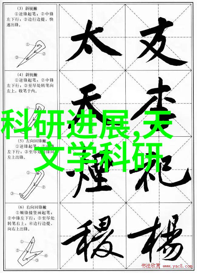 如何选择适合自己项目需求的bx500型丝网波纹填料种类和规格