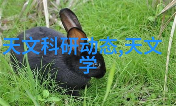 华为最便宜的手机我买了华为最便宜的手机省钱又不亏