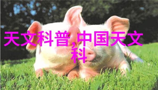 家庭污水处理器-家中自给自足的清洁解决方案