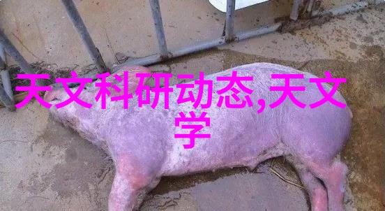 国内外经济状况如何反映在不锈钢价格上